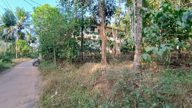 ₹70 Lac | 25 cents commerical land for sale  in pulpally wayanad