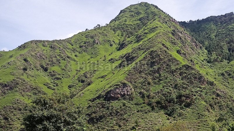₹2 Cr | 30 bigha residential plot for sale  in chail solan