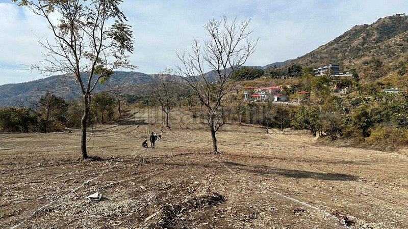 ₹17 Lac | 200 sq.yards residential plot for sale  in itharna dehradun