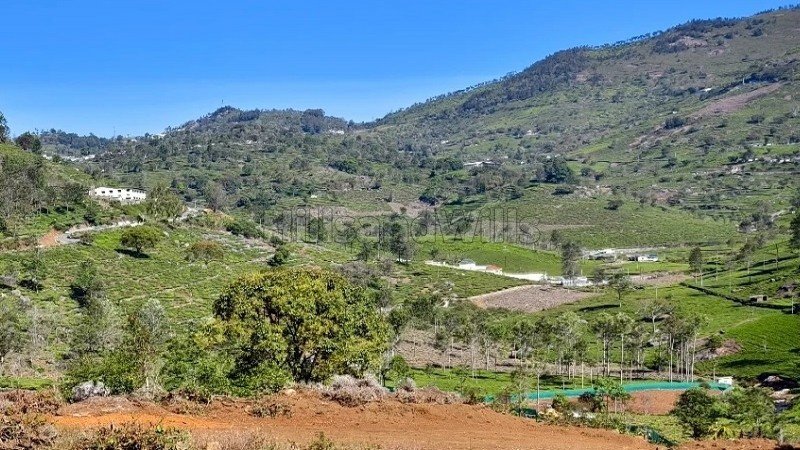 ₹8.57 Cr | 98 cents  prime land for sale  in kottacombai kotagiri