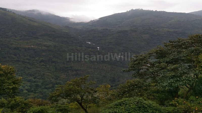 ₹93 Lac | 10 acres agriculture land for sale in vadakoungi kodaikanal