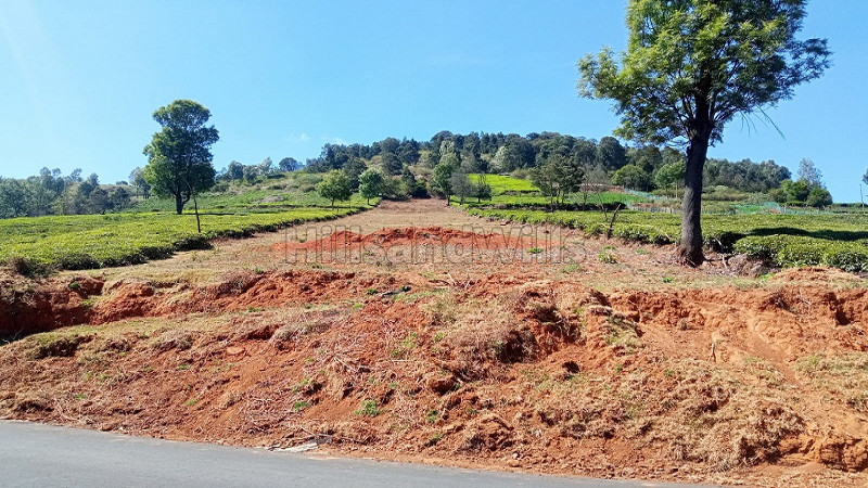 ₹1.25 Cr | 84 cents agriculture land for sale in thooneri ooty