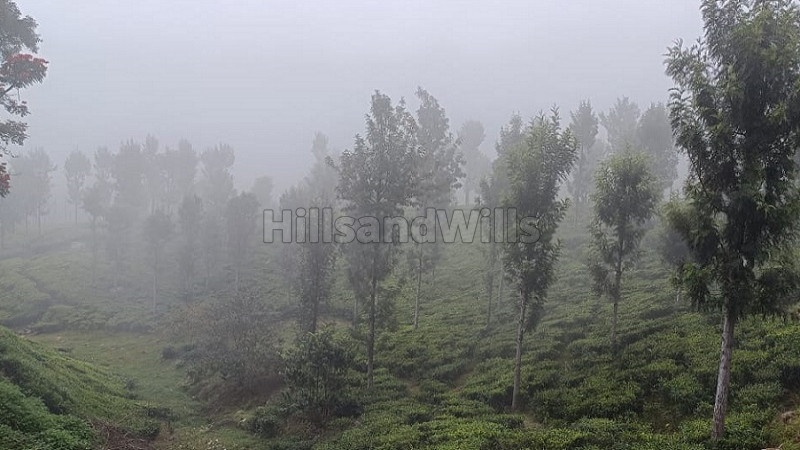 ₹1.08 Cr | 6 acres agriculture land for sale in yedakadu ooty