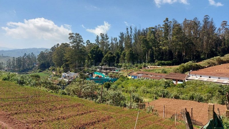 ₹3 Cr | 33 cents agriculture land for sale  in muthorai palada ooty