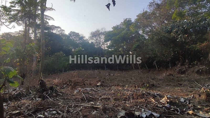 ₹7 Lac | 14 cents residential plot for sale  in cheengode wayanad
