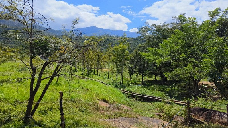 ₹22 Lac | 1bhk villa for sale  in marayoor idukki