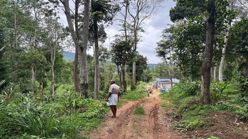 ₹30 Lac | 325 acres agriculture land for sale  in pandrimalai village kodaikanal