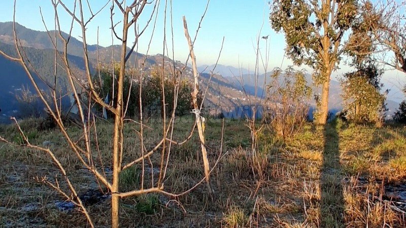 ₹96 Lac&nbsp;|&nbsp;400 sq.meter residential plot for sale  in mukteshwar nainital