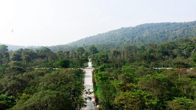 ₹36 Lac | 6000 sq.ft.  premium estate plots for sale  in virajpet coorg