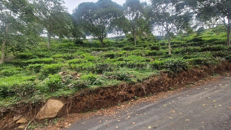 ₹42 Lac - 55 Lac | 9150 sq.ft. - 12000 sq.ft.  gated community residential plots for sale  in aravenu kotagiri
