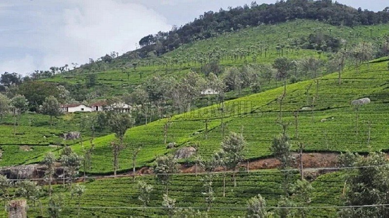 ₹1.12 Cr | 25 cents residential plot for sale  in hulical coonoor