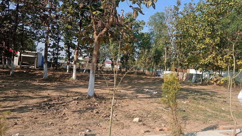 ₹20.40 Lac | 204 sq.yards residential plot for sale in ganeshpur dehradun