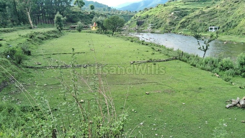 ₹52 Lac | 11000 sq.ft. residential plot for sale  in kosi, almora near nainital