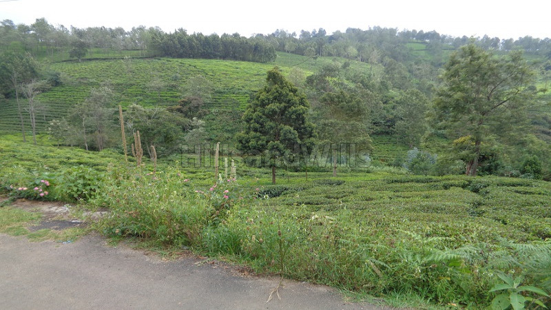 ₹48 Lac | 40 cents Residential Plot For Sale in between Coonoor & Ooty