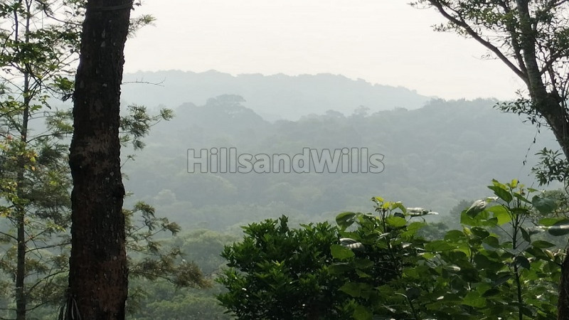 ₹10.80 Cr | 18 acres agriculture land for sale in madikeri coorg