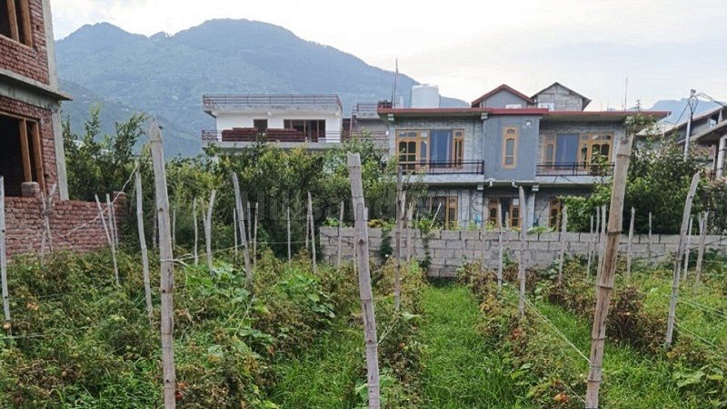 ₹98 Lac | 7 biswa residential plot for sale  in bhunter kullu-manali
