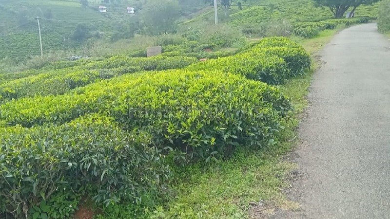 ₹1.05 Cr | 30 cents residential plot for sale  in coonoor