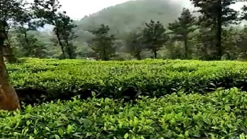 ₹185 Cr | 752 acres tea & coffee estate for sale  in valparai