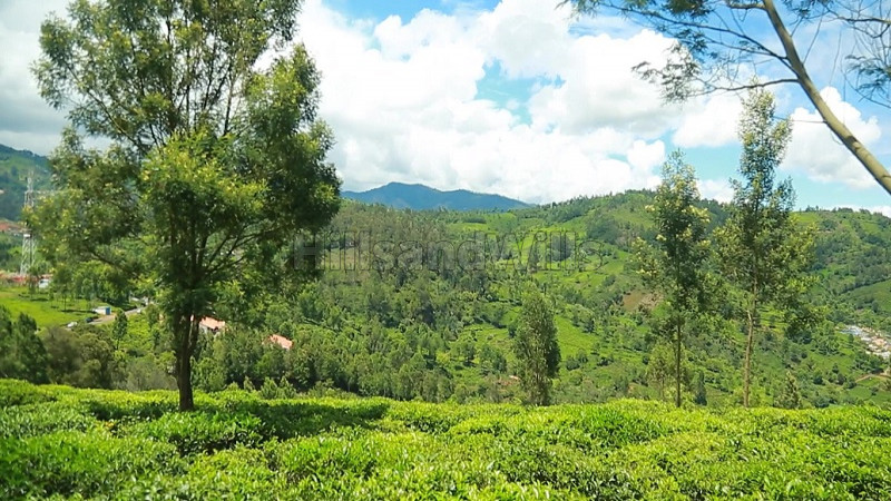 ₹4 Cr | 2.8 acres Agriculture Land For Sale in Dhenallai Ooty