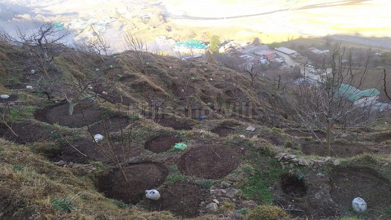 ₹1.60 Cr | 12 bigha agriculture land for sale in rohru shimla