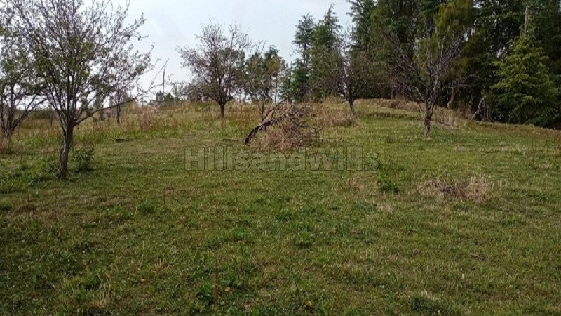 ₹15 Cr | 23 bigha commerical land for sale  in shimla