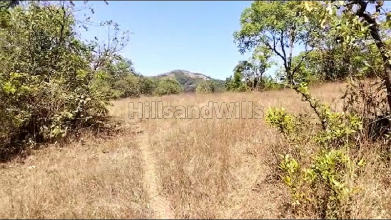 ₹35 Lac | 2 acres agriculture land for sale in birmani mahabaleshwar