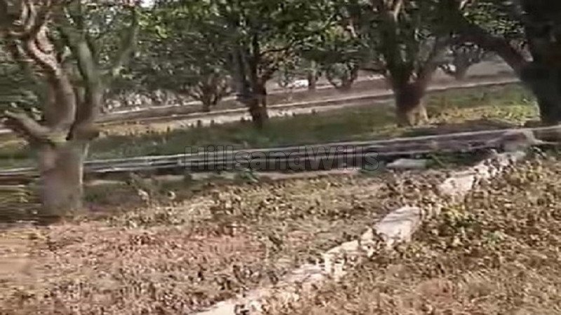 ₹32 Lac | 320 gaj residential plot for sale  in selaqui dehradun