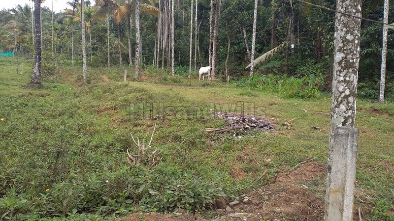 ₹15 Lac | 5.75 cents residential plot for sale  in mysore main road gudalur
