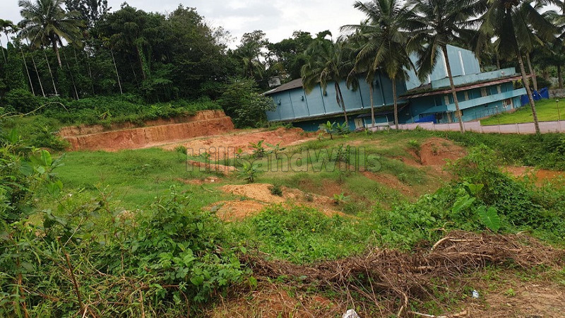 ₹6 Cr | 60 cents residential plot for sale in sulthan bathery wayanad
