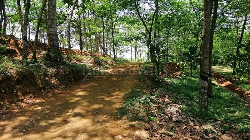 ₹70 Lac | 4bhk farm house for sale  in mundakayam idukki