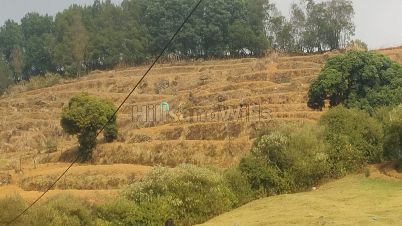 ₹1.50 Cr | 6 acres agriculture land for sale in thalikundha ooty