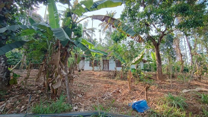 ₹35 Lac | 1 acres residential plot for sale  in bathery wayanad