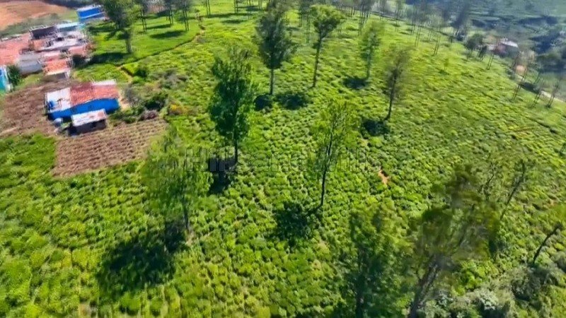 ₹18.50 Cr | 10 acres agriculture land for sale in ketty coonoor