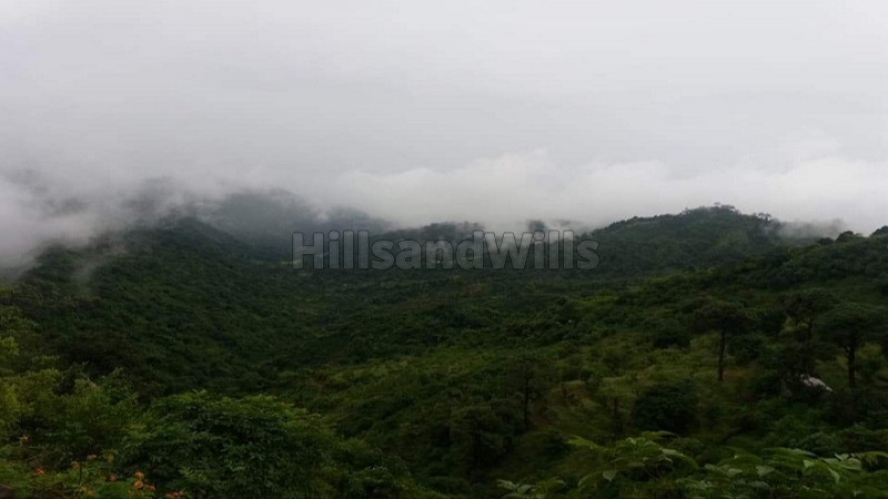 ₹80 Lac | 4.5 bigha Agriculture Land For Sale in Panchkula Morni Hills