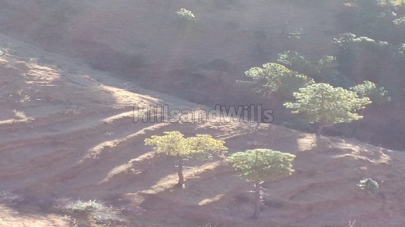 ₹3 Cr | 17 bigha agriculture land for sale  in mundaghat shimla