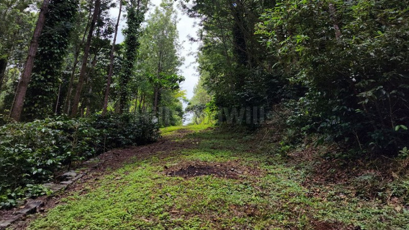 ₹43 Lac | 5000 sq.ft. residential plot for sale in nagalur yercaud