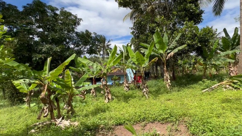 ₹45 Lac | 170 cents residential plot for sale  in pulpally wayanad