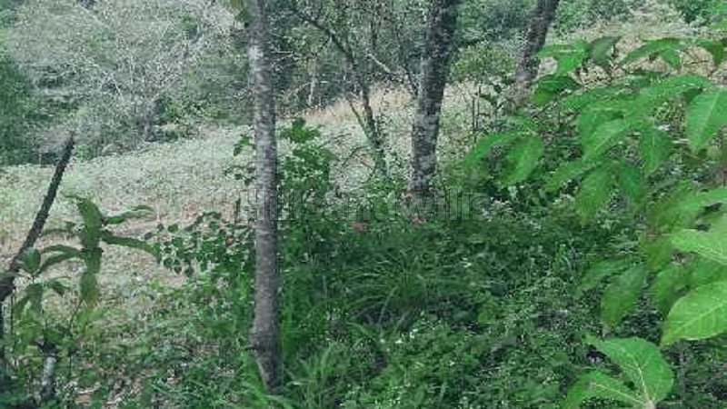 ₹25 Lac | 2 acres agriculture land for sale  in thopramkudi idukki