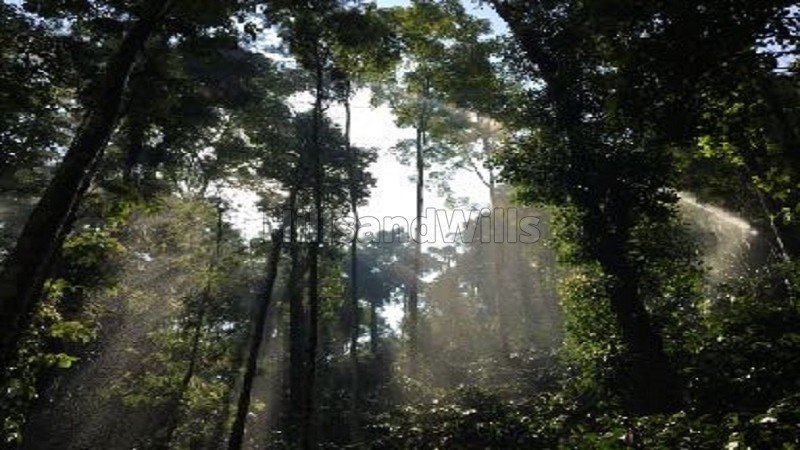 ₹4 Cr | 14.7 acres estate with traditional house for sale  in madikeri coorg