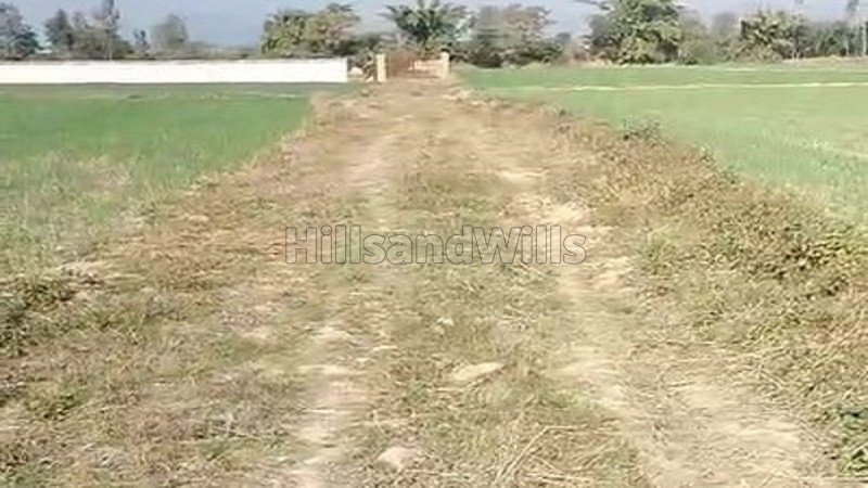 ₹50 Lac | 2.5 bigha agriculture land for sale  in jim corbett national park 