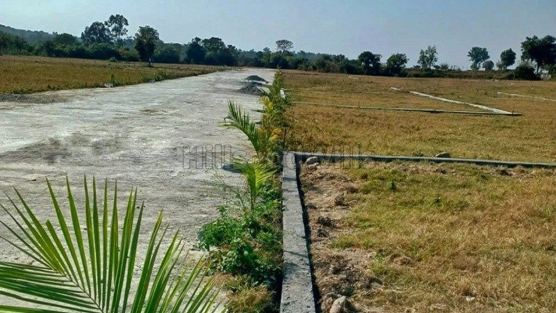 ₹26.72 Lac | 167 sq.yards residential plot for sale  in bhauwala dehradun