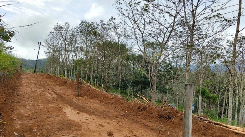₹40 Lac | 1 acres rubber estate for sale in mananthavady wayanad