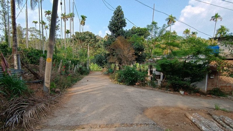 ₹35 Lac | 1 acres residential plot for sale  in bathery wayanad
