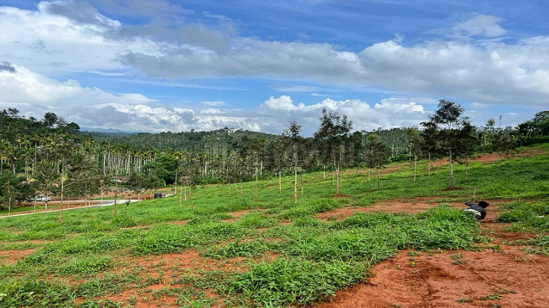 ₹11.50 Cr | 10 acres residential plot for sale in vaduvanchal wayanad