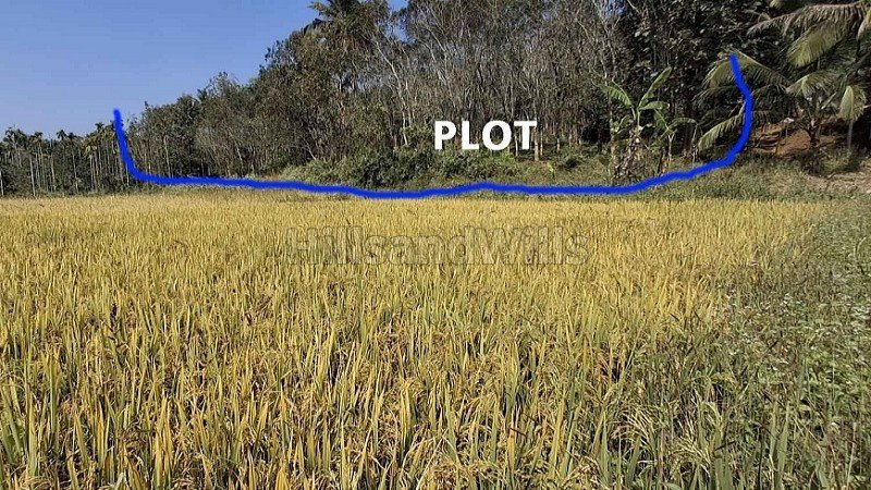 ₹97 Lac&nbsp;|&nbsp;275 cents agriculture land for sale  in nadavayal wayanad