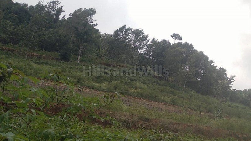 ₹60 Lac | 86 cents  avacoda farm for sale  in perakkarainadu kolli hills