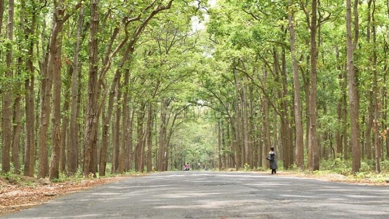 ₹85 Lac | 660 sq.yards agriculture land for sale  in dunga road dehradun