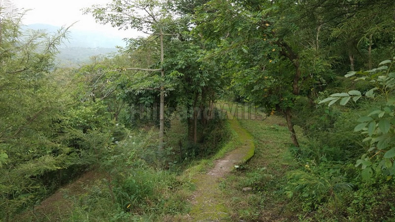 ₹42 Lac | 3 bigha agriculture land for sale in mandi riwalser road, himachal pradesh