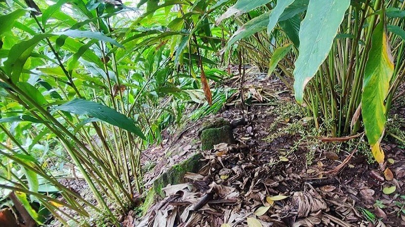 ₹75 Lac | 2.15 acres agriculture land for sale  near near kallimaly idukki