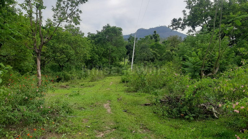 ₹11.40 Lac | 20 cents Residential Plot For Sale in Kanthaloor Munnar